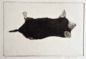 Charles Donker - Een Mol verkocht voor € 195!