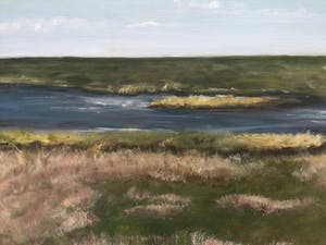 Niet of onleesbaar gesigneerd - 2x landschap Terschelling | 2x olieverf schilderijen (ingelijst) kopen? Bied vanaf 1!