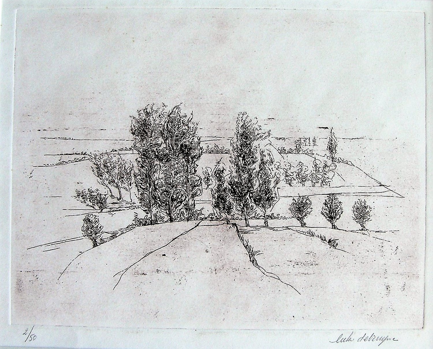Luk Debruyne (1951)
