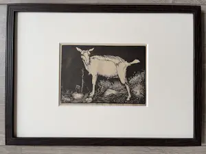 Jan Mankes - Originele Heliogravure Geit 1923 kopen? Bied vanaf 135!
