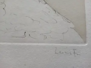 Leonor Fini - Leonor Fini Ets Le Borakoma Surrealisme 1975 kopen? Bied vanaf 75!