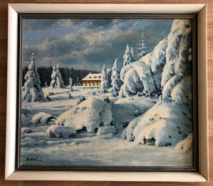 Hermann Eckert - Thüringer Rhönhaus auf dem Ellenbogen kopen? Bied vanaf 200!