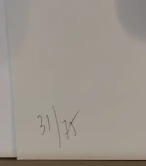 Karin Borghouts - KMSKA kopen? Bied vanaf 85!