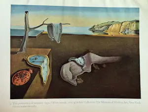 Salvador Dali - By James Thrall Soby, 1941 - Museum of Modern Art, NY. kopen? Bied vanaf 40!