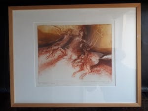 Ton Diekstra - Kleurenets eigen druk. Centauer en maenode 1 kopen? Bied vanaf 35!