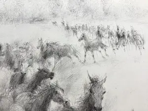 Piet Klaasse - Paarden, proefdrukken offsetlitho, 2-zijdig bedrukt, gesigneerd in druk kopen? Bied vanaf 25!