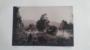 Erik Gigengack - "Buurse 2014", gesigneerde nummer 1 van beperkte oplage. kopen? Bied vanaf 35!