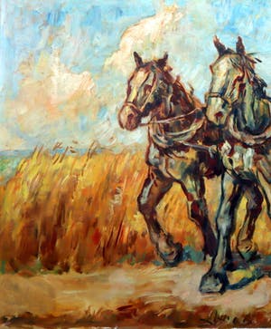 Jacques van Mourik - Werkpaarden op het land kopen? Bied vanaf 250!