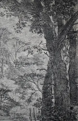 Anthonie Waterloo - Bospad met hekwerk - 17e eeuwse ets kopen? Bied vanaf 150!