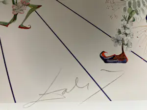 Salvador Dali - Flordali Drukgesigneerd in nieuw staat kopen? Bied vanaf 300!