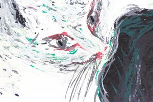 Roger Raveel - handgesigneerde Litho - Felix Vulgaris kopen? Bied vanaf 450!