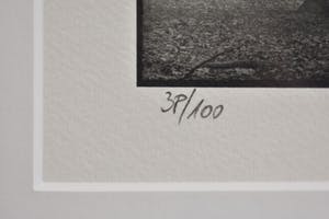 Ralph Janowski - Bomen kopen? Bied vanaf 1!