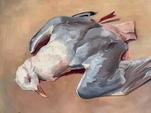 Dirk Trap - Doode meeuw kopen? Bied vanaf 225!