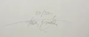 Francis Mean - Ets en aquatint, Die Schöpfung - Ingelijst kopen? Bied vanaf 40!