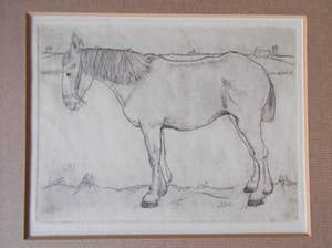 Jan Mankes - ets Paard - 1917 kopen? Bied vanaf 290!
