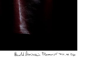 Arnold Mariashin - Flowers V kopen? Bied vanaf 125!