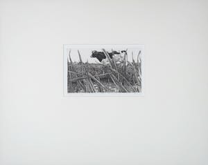 Han van Hagen - Ets, Weerzien met Nieuwkoop kopen? Bied vanaf 70!