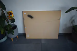 Corneille - Zeefdruk - Femme et oiso rouge - Ingelijst kopen? Bied vanaf 195!