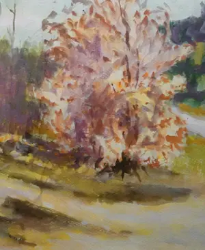 Jan Altink - Heidelandschap te Groningen kopen? Bied vanaf 1000!