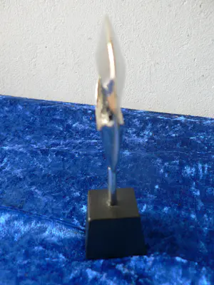 Corry Ammerlaan - Met het oog op de goede samenwerking kopen? Bied vanaf 15!