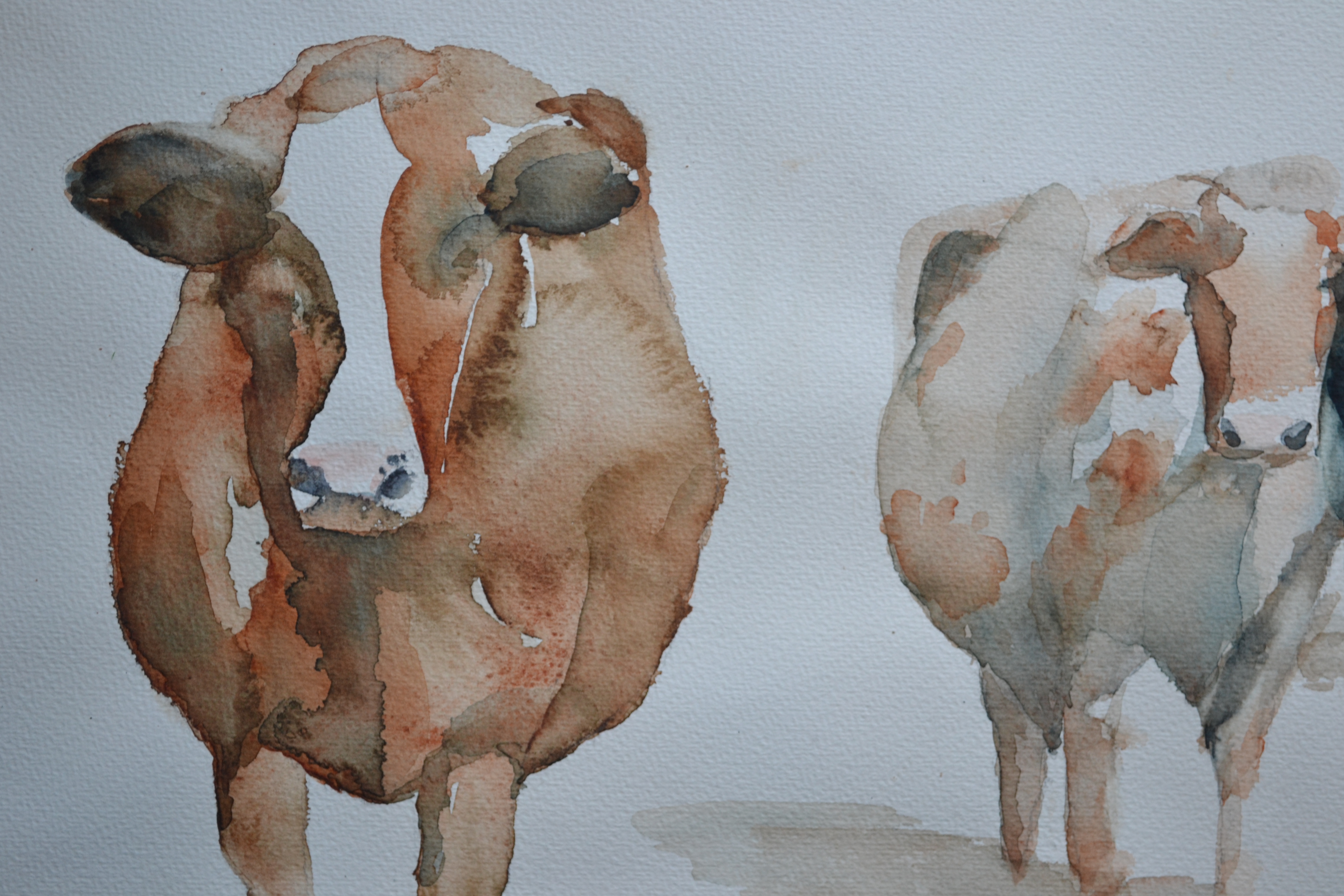 Niet of onleesbaar gesigneerd - Aquarel - Koeien kopen? Bied vanaf 1!