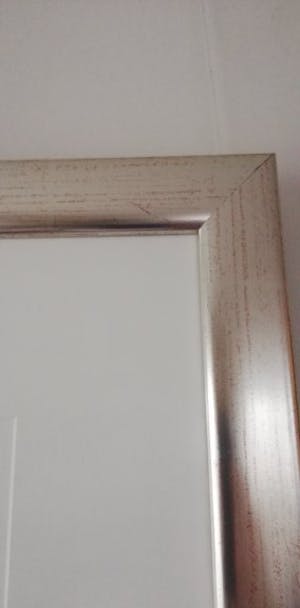 Nico Molenkamp - Blauw vogel kopen? Bied vanaf 200!