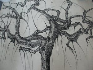 Frits van der Zander - Boomstudie kopen? Bied vanaf 15!