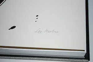 Lei Molin - hardcover in cassette, met zeefdruk 178/250, handgesigneerd kopen? Bied vanaf 180!