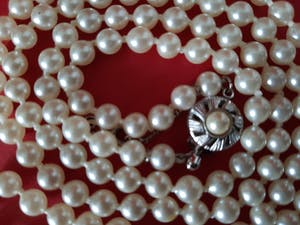 Curiosa - 50 mm echte parels met zilveren sluiting - Collier kopen? Bied vanaf 1!