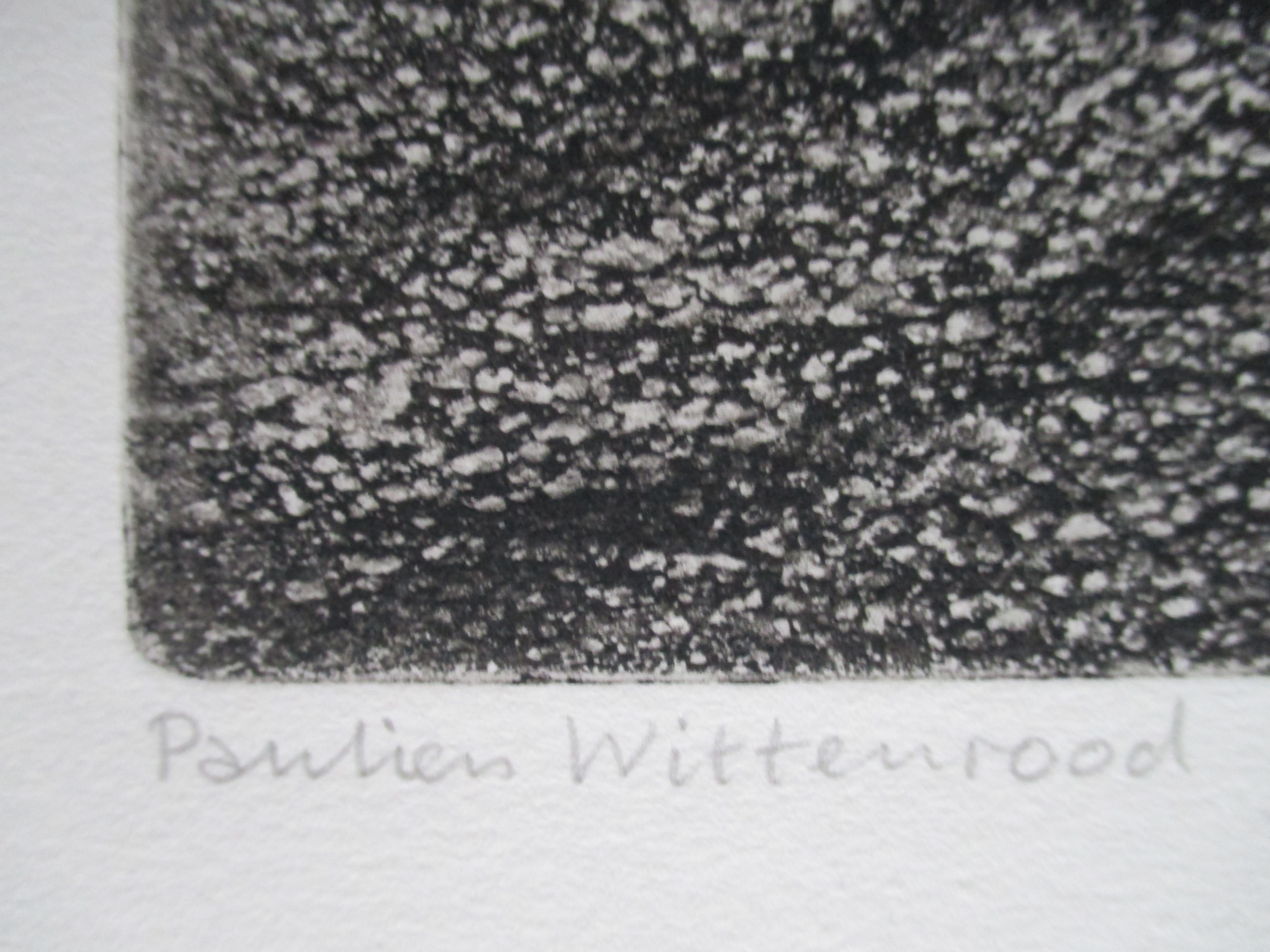 Paulien Wittenrood - Ets "Mariëndaal in het voorjaar" 1977 kopen? Bied vanaf 55!