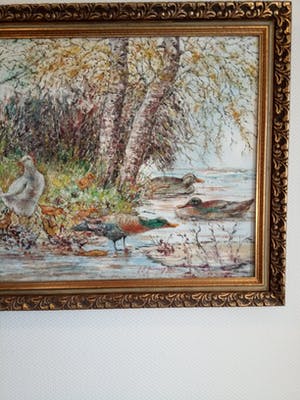 Hein Janning - Eendjes in /aan het water. kopen? Bied vanaf 40!