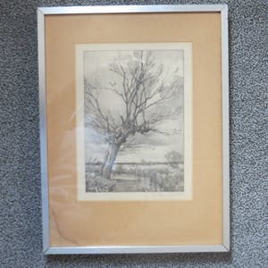 Jan Voerman (jr.) - knotwilg aan de waterkant kopen? Bied vanaf 30!