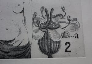 Herman Berserik - grote ets - 1971 kopen? Bied vanaf 125!