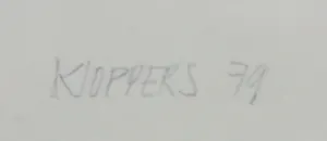 Willem Kloppers - Zeefdruk op plexiglas en papier, Nitela Nitiditas multiplicis 9 - Ingelijst kopen? Bied vanaf 1!