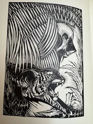 Jan Schonk - Leeuwen kopen? Bied vanaf 120!