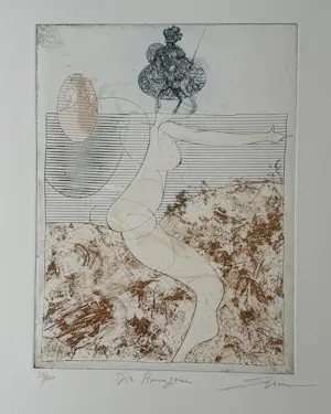 Dan Erceanu - Amazone. kaufen? Bieten Sie von 39!