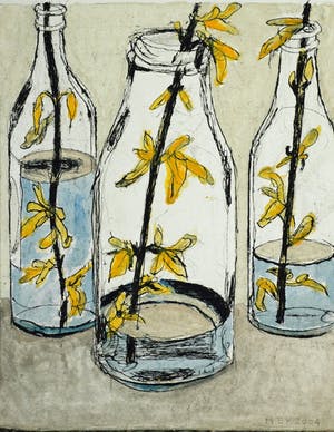 Hans Ebeling Koning - forsythia kopen? Bied vanaf 50!