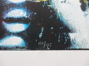 Herman Brood - Kleurenzeefdruk NIGHTRIDE HANDGESIGNEERD. kopen? Bied vanaf 1!