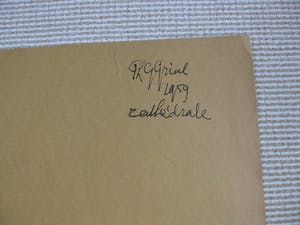 Phil Grisel - Cathédrale kopen? Bied vanaf 50!