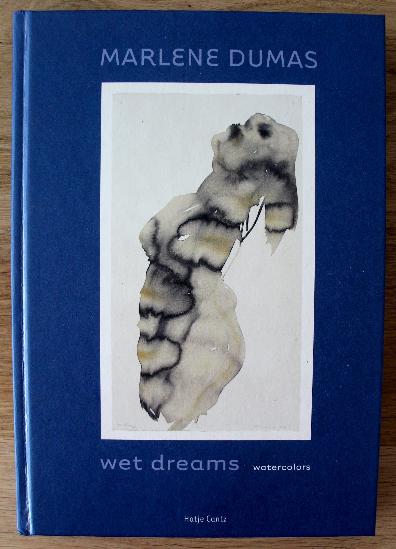 Marlene Dumas - boek: wet dreams kopen? Bied vanaf 45!