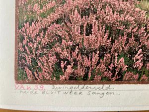 Siemen Dijkstra - Vak 39 Dwingelderveld kopen? Bied vanaf 195!