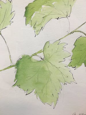 Annemarie van Wolde-Mulder - Groen. kopen? Bied vanaf 1!