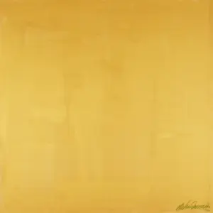 Parscha Mirghawameddin - The Golden Hour kopen? Bied vanaf 150!