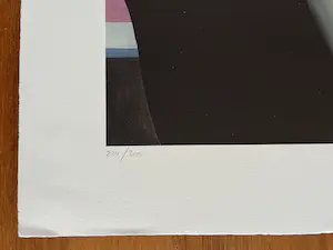 Jef van Tuerenhout - Gesigneerde kleurenlitho - Zeer goede staat kopen? Bied vanaf 95!