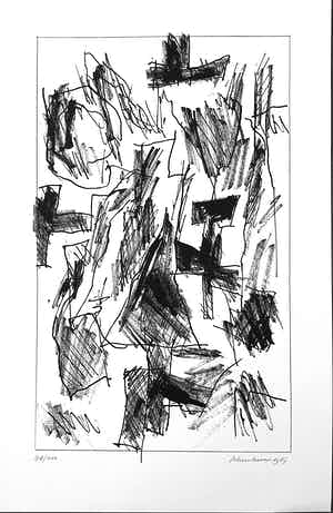 Jan Schoonhoven - Formatie-1987-88/100 verkocht voor € 240!