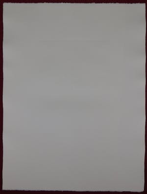 Leonor Fini - La Sorcière sur le Balai kopen? Bied vanaf 60!