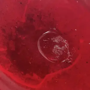 Empoli Glas - Robijnrode Flesvaas kopen? Bied vanaf 20!