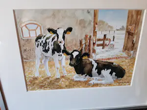 Wiebe A van der Zee - Wiebe A van der Zee - Zeefdruk, 2 kalveren. kopen? Bied vanaf 40!