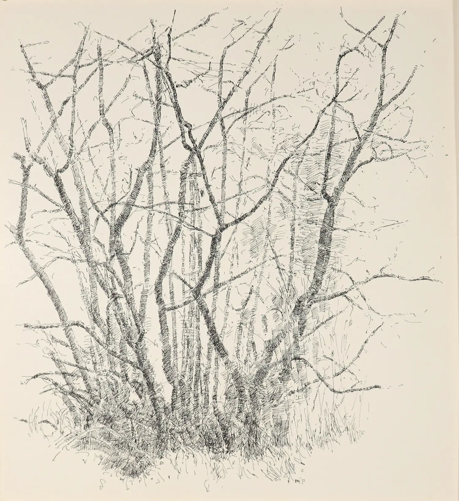 Ery Brusse (1943-1987)