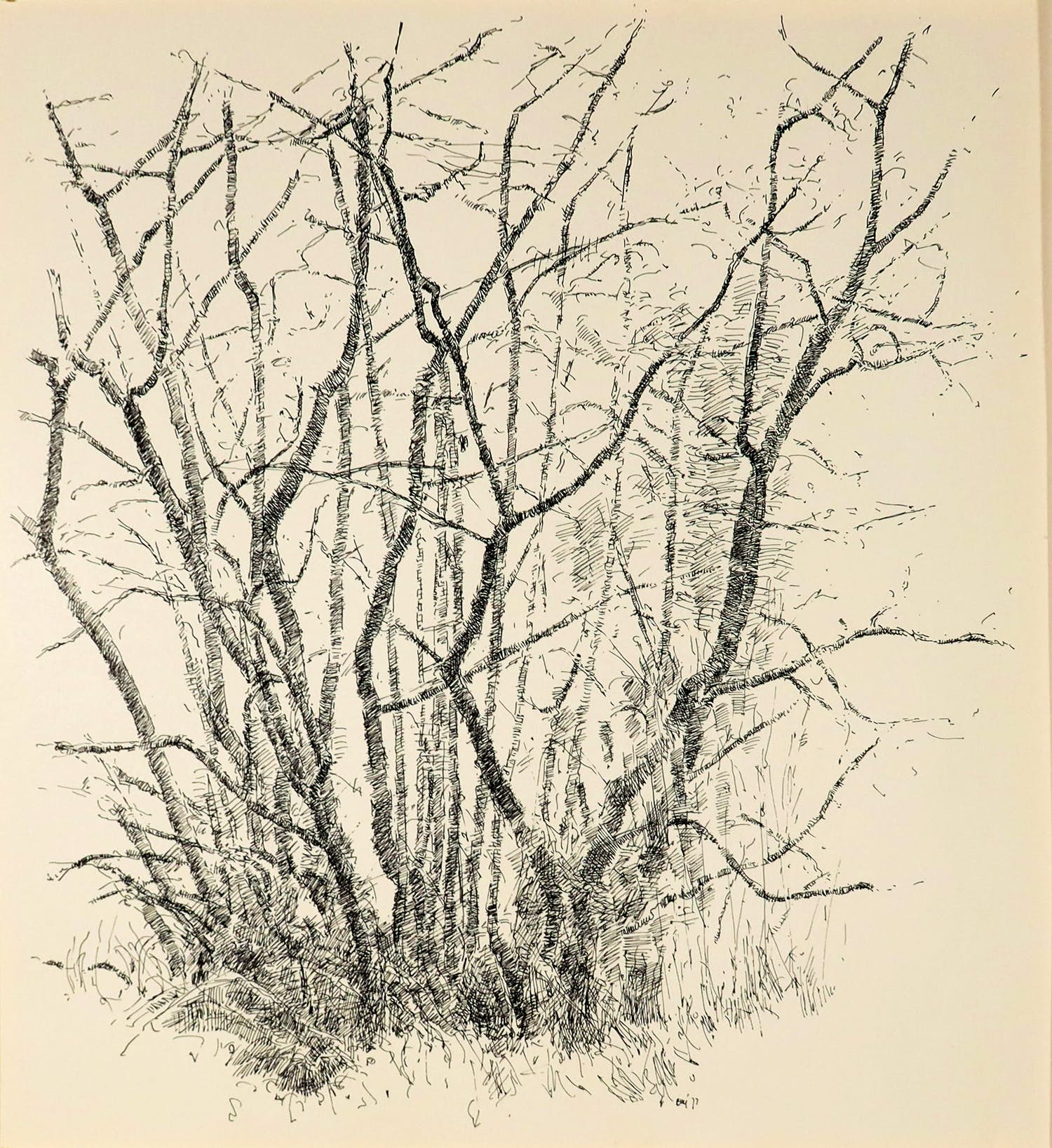 Ery Brusse - Pentekening, Struikgewas kopen? Bied vanaf 35!